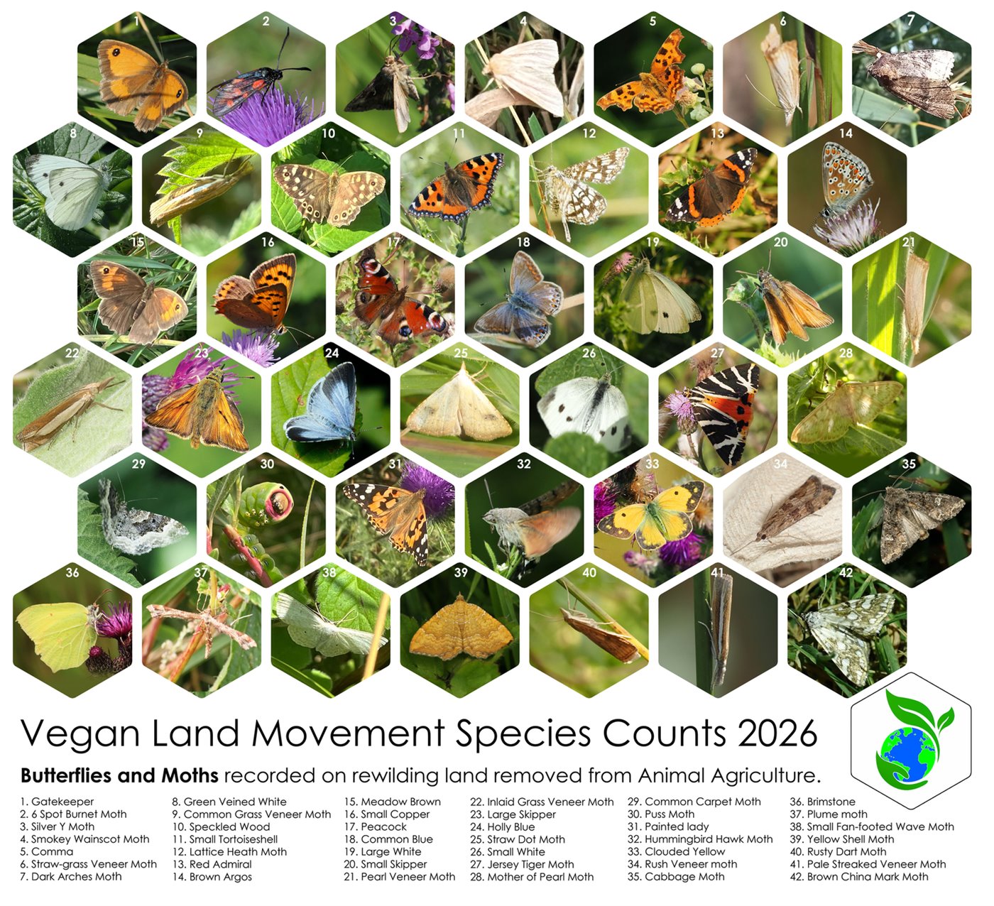 Vegan Land Movement Species Counts 2026: a grid of 42 numbered photographs of butterflies and moths recorded on rewilding land removed from animal agriculture, from Gatekeeper and Comma to Jersey Tiger and Hummingbird Hawk Moth